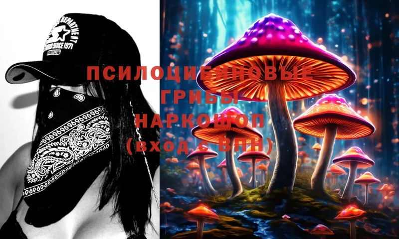 Псилоцибиновые грибы Magic Shrooms  купить наркотики цена  Вяземский 